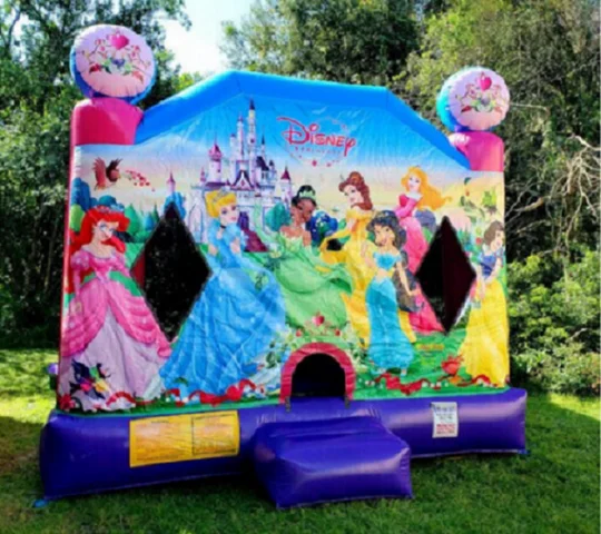 Disney Princess Bounce House
