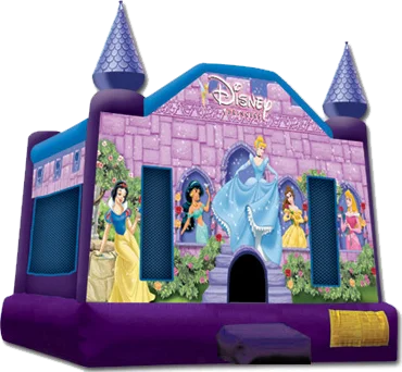 Disney Princess 15