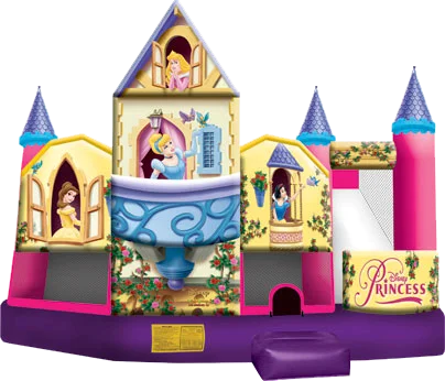 Disney Princess Slide 3D