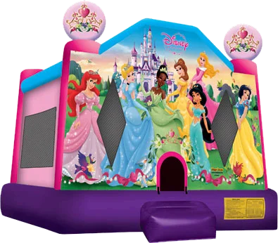 Disney Princess Small 11x11