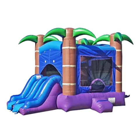 Enchanted Forest Combo Bounce House with Slide